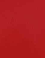 Stahls CAD-CUT® Premium Plus Flexfolie, 60°C Waschbar, Apple Green 421 (ca. Pantone 368C) Meter, SA100 – Rosso segnale 210 (ca. Pantone 185C)