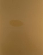 Stahls CAD-CUT® SportsFilm Flexfolie 60°C, Aqua 360 (ca. Pantone 631C) Meter, SA150 – Oro 115 (ca. Pantone 871C)