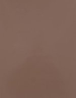 Stahls CAD-CUT® Premium Plus Sublistop Flexfolie – Cream 005 (ca. Pantone 479C)
