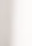Women´s Oversize Popeline Blouse Shortsleeve – image 4