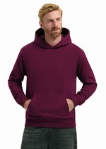 Unisex Organic Cotton Hooded Sweatshirt – Bild 1