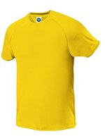 Starworld Atmungsaktives Sport T-Shirt mit Raglan-Ärmeln, Anthracite XS, SW300 – Or