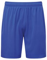 Unisex TriDri® Ion-Charge performance shorts – Reale