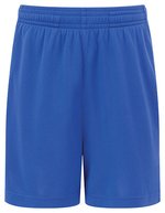Kids TriDri® Ion-Charge performance shorts – Royal