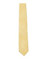 TYTO Satin-Krawatte 8,5 cm in Geschenkbox, Black 144 x 8,5cm, TT901 – Gold