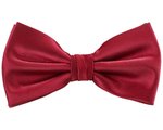 TYTO Satin Krawatte mit Hakenverschluss, Black One Size, TT904 – Bild 3