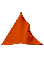 Link Kitchen Wear Halstuch Catering & Gastronomie 2023, Black 120 x 45 cm, X966 – Orange