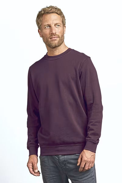 Promodoro Felpa da Uomo 80/20 con girocollo