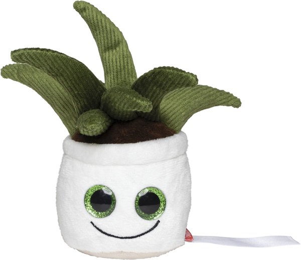 Schmoozies® Evergreenies® Aloe Vera