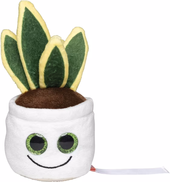 Schmoozies® Evergreenies® Sansevière