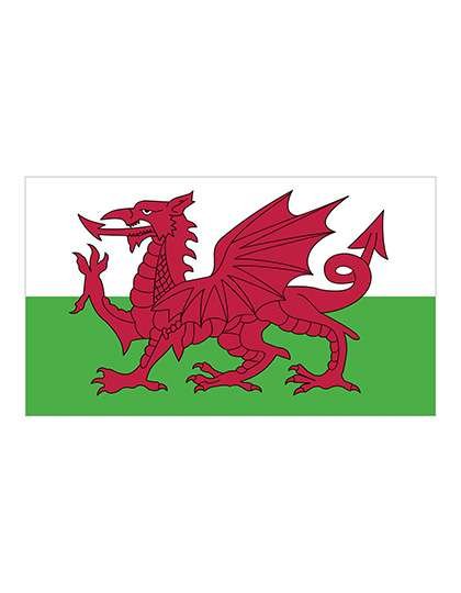 Printwear Drapeau Pays de Galles 90x150 cm polyester, Wales 90 x 150 cm, FLAGWLS
