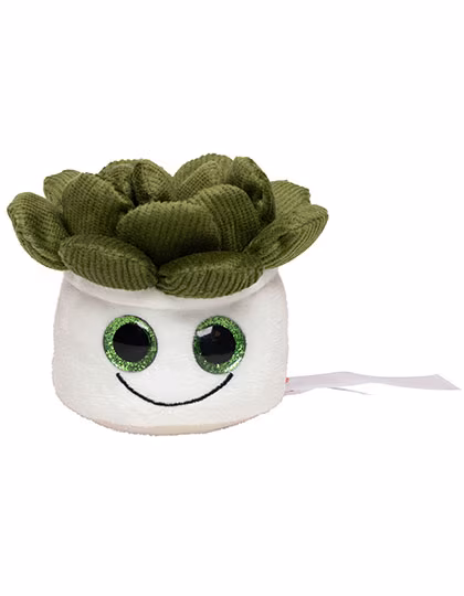 Schmoozies® Evergreenies® Succulente