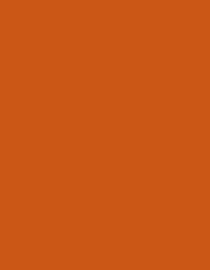 Madeira Polyneon 60 Polyester-Garn 1.500 m, 1621 Burnt Orange 1.500 m, MD600