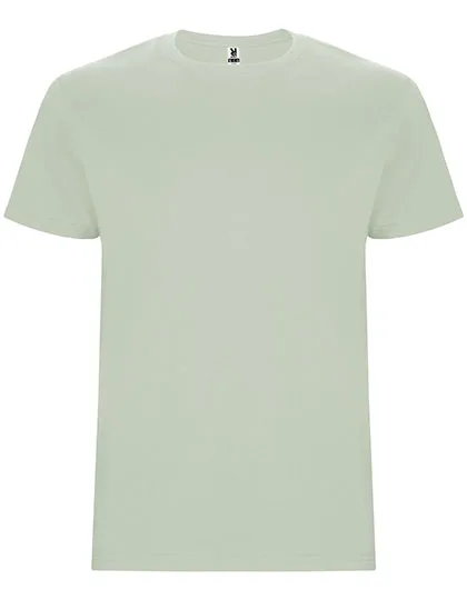 Roly T-Shirt Stafford, 100% Baumwolle für Kinder, Mist Green 264 9/10 Jahre, RY6681K