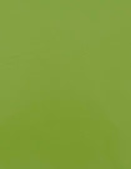 Stahls CAD-CUT® Premium Plus Flexfolie, 60°C Waschbar, Apple Green 421 (ca. Pantone 368C) Meter, SA100