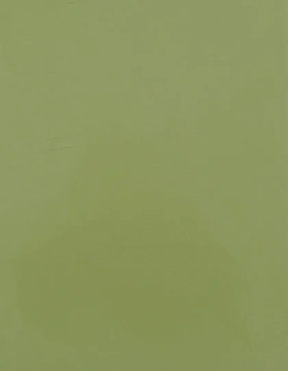 Stahls CAD-CUT® SportsFilm Flexfolie 60°C, Pistachio Green 425 (ca. Pantone 5777 C) Meter, SA150