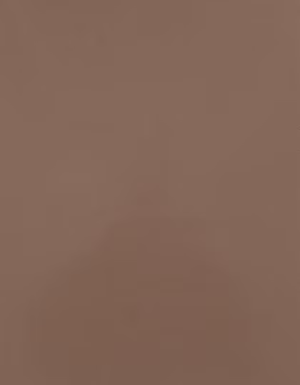 Stahls CAD-CUT® Premium Plus Sublistop Flexfolie, Cream 005 (ca. Pantone 479C) Meter, SA300