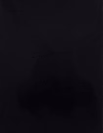 Stahls CAD-CUT® Film silicone 100 mat 0,1 mm, Black 700 Meter, SA910