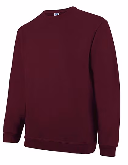 Starworld Long Sleeve Sweatshirt with Anti-Pilling Finish