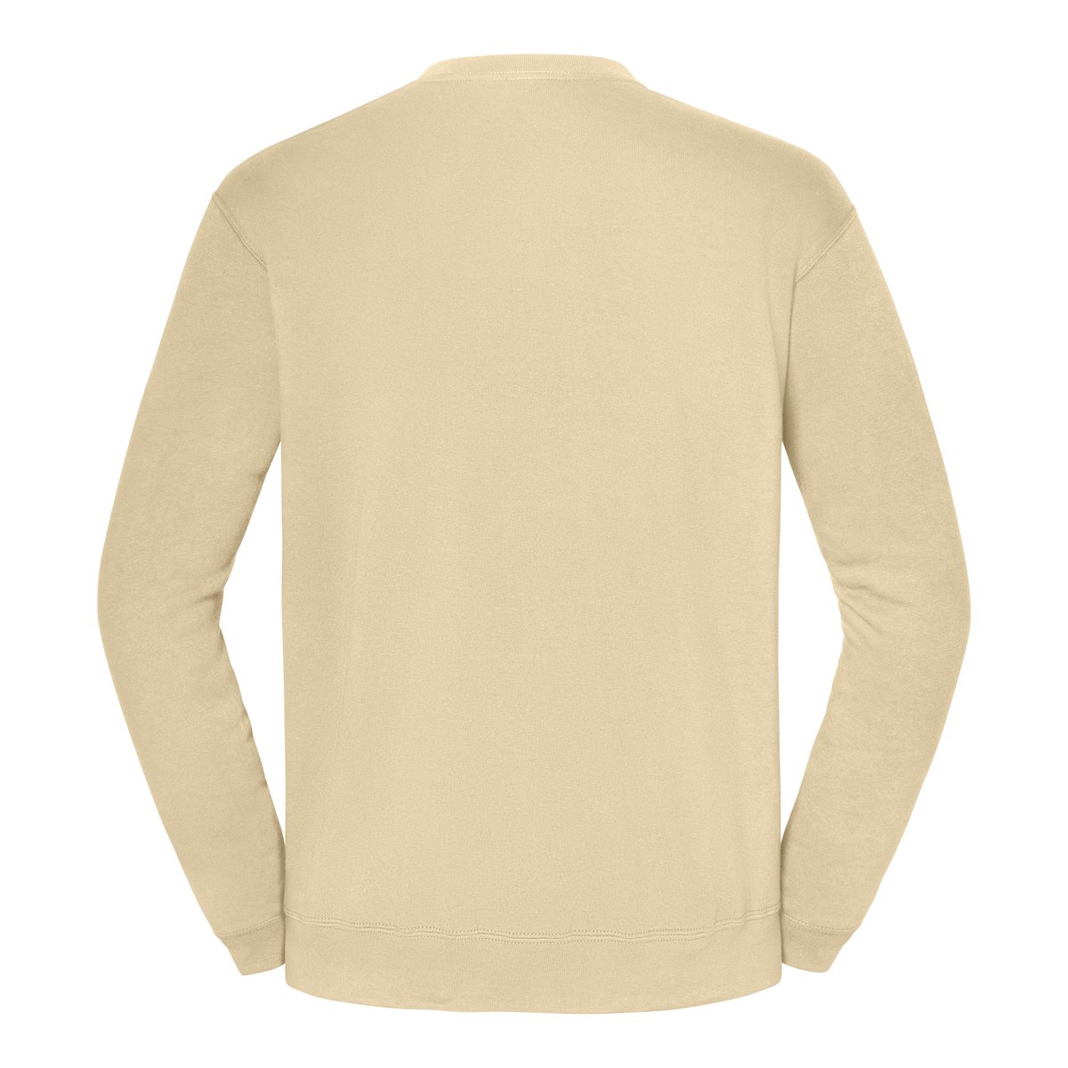 ICONIC 250 SET-IN SWEAT – immagine 4