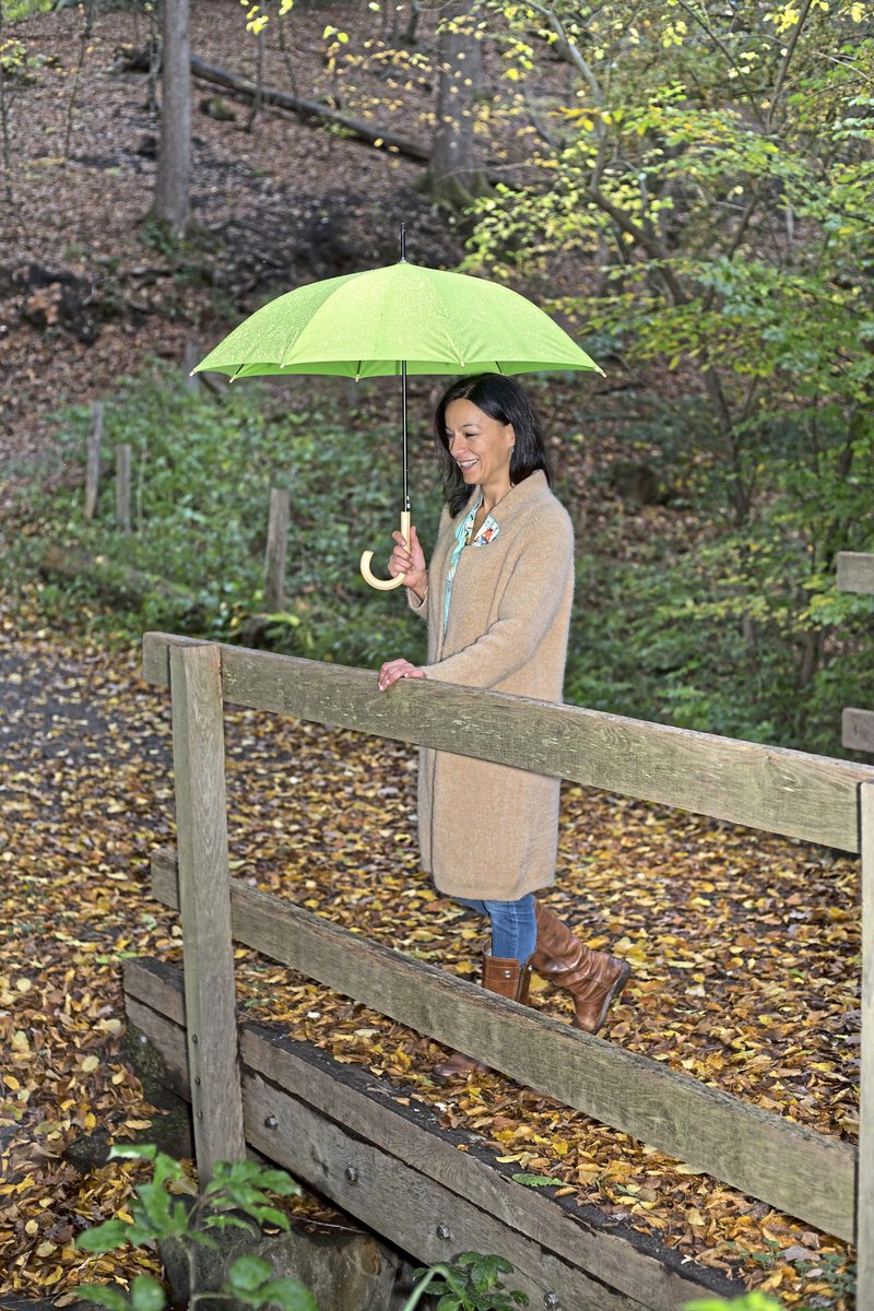 FARE ÖkoBrella AC-Stockschirm Pale Green