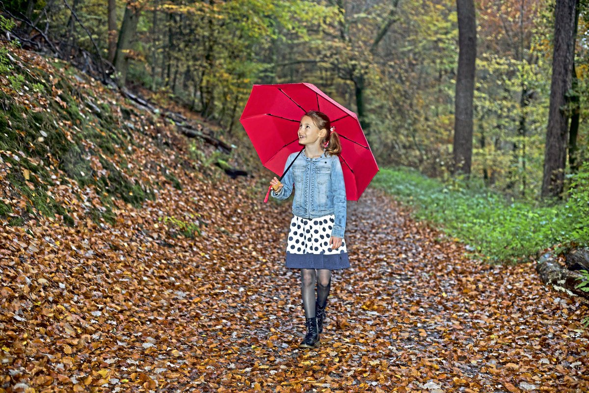 FARE Mini-Taschenschirm ÖkoBrella mit Holzgriff