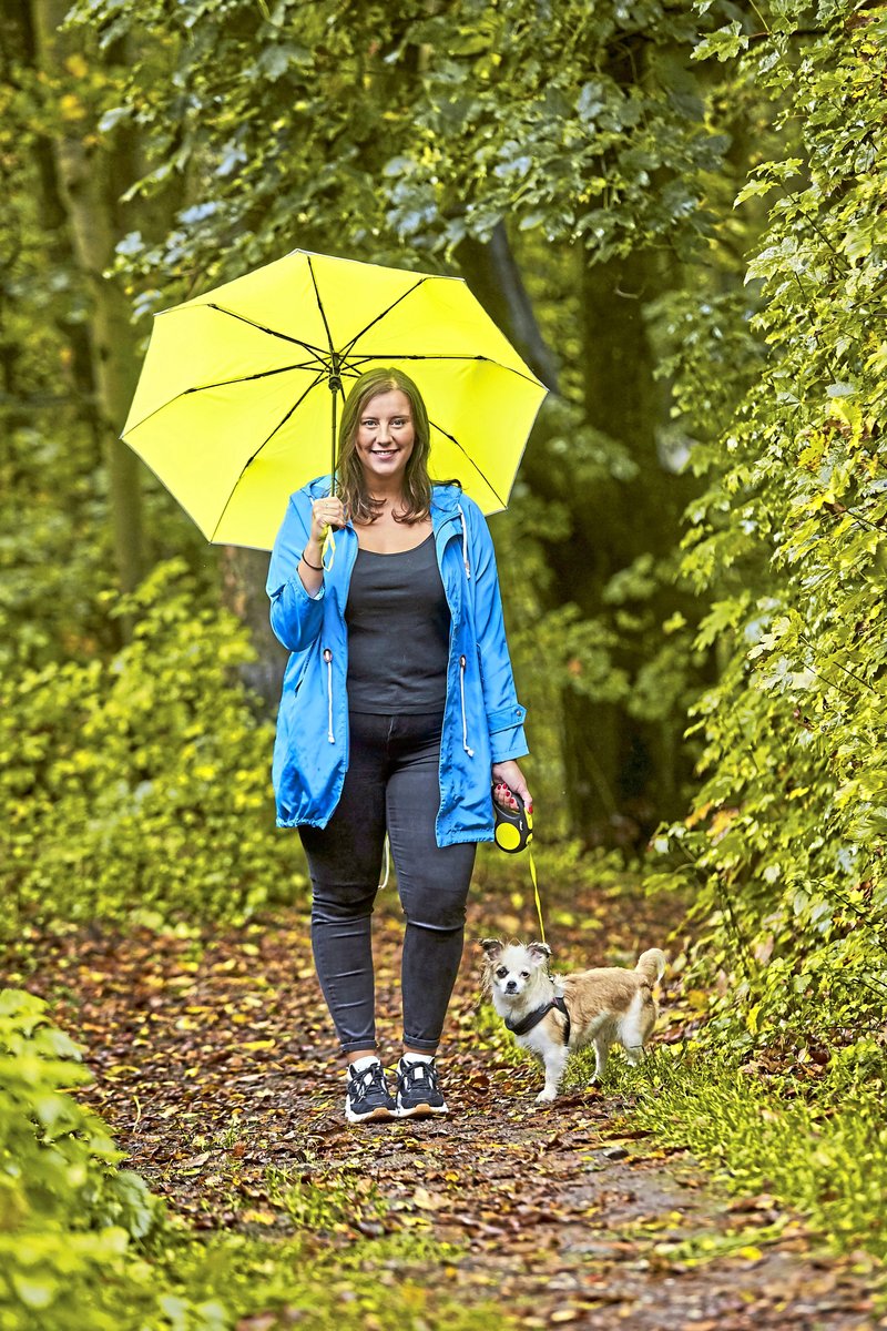 FARE Taschenschirm mit Automatik und Windproof