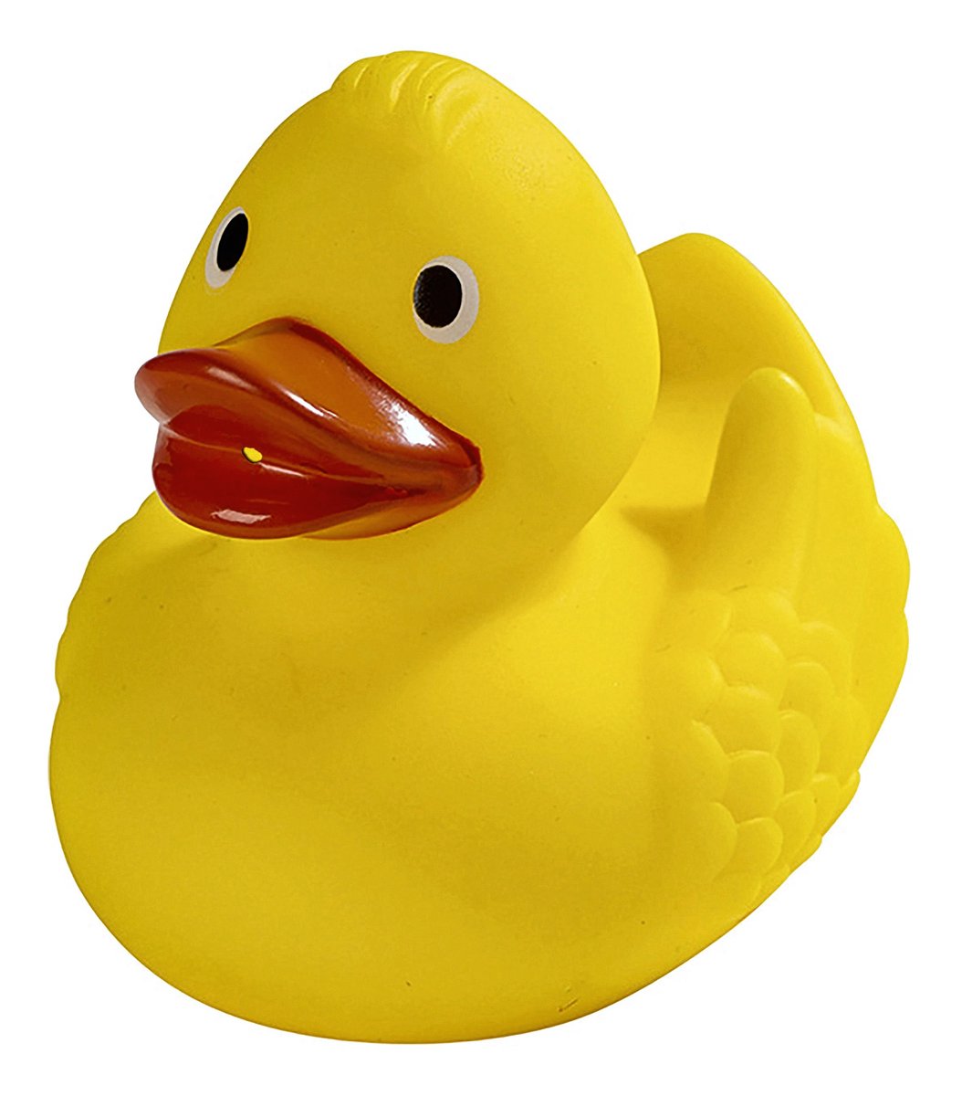 Mbw Schnabels® Renn-Ente mit Metallplatte