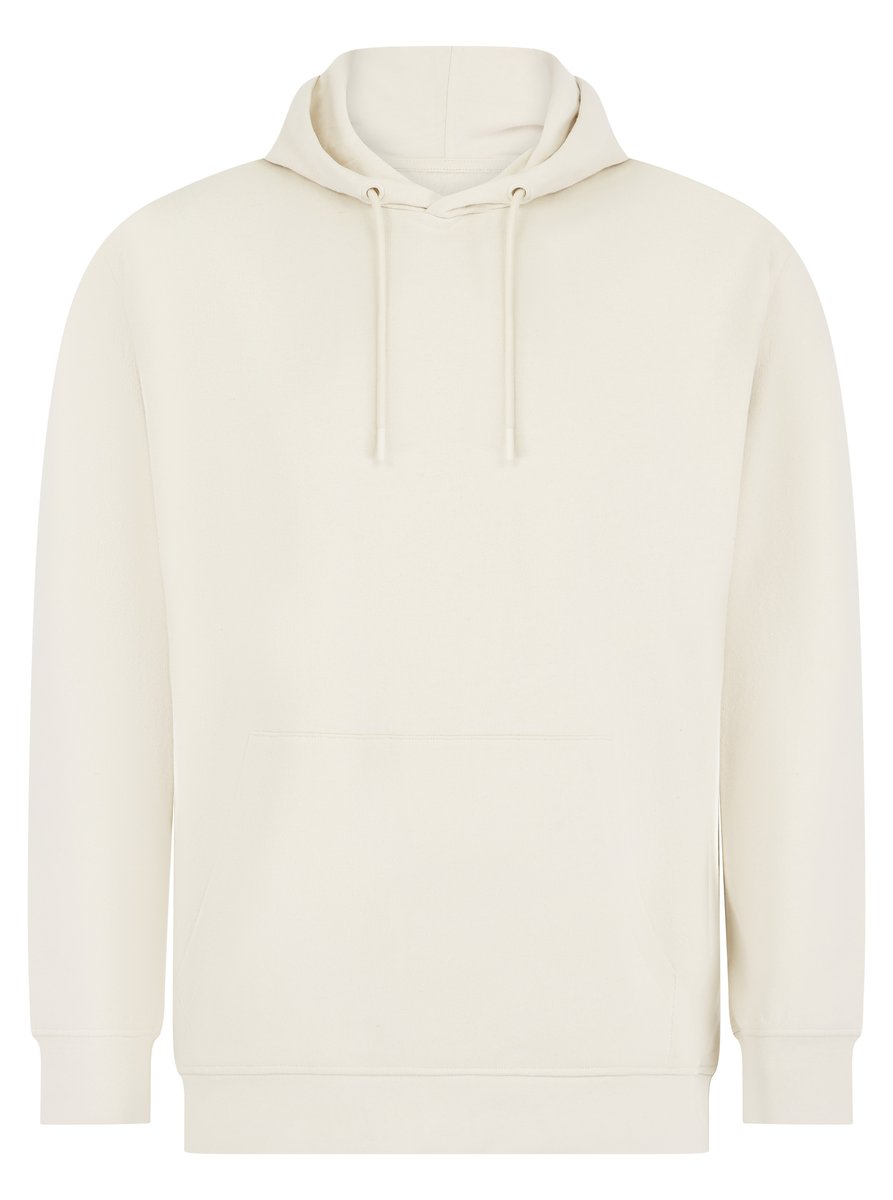 SF Men Sweat à capuche durable pour homme SFM531 – Light Stone